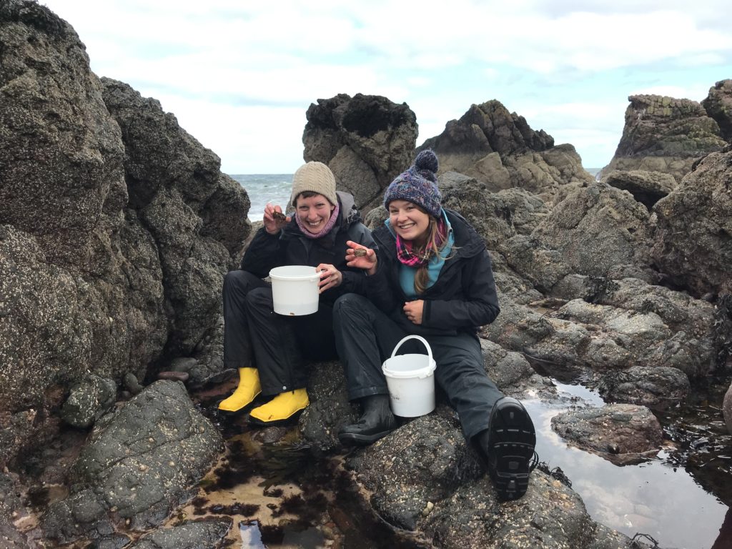 Marine Ranger Genine and Assistant Reserve Coordinator Katherine conducting a juvenile brown crab survey