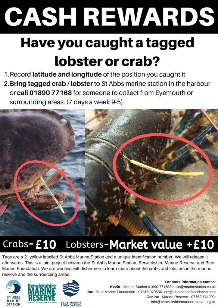 Information for commercial fishers asking them to participate in the study