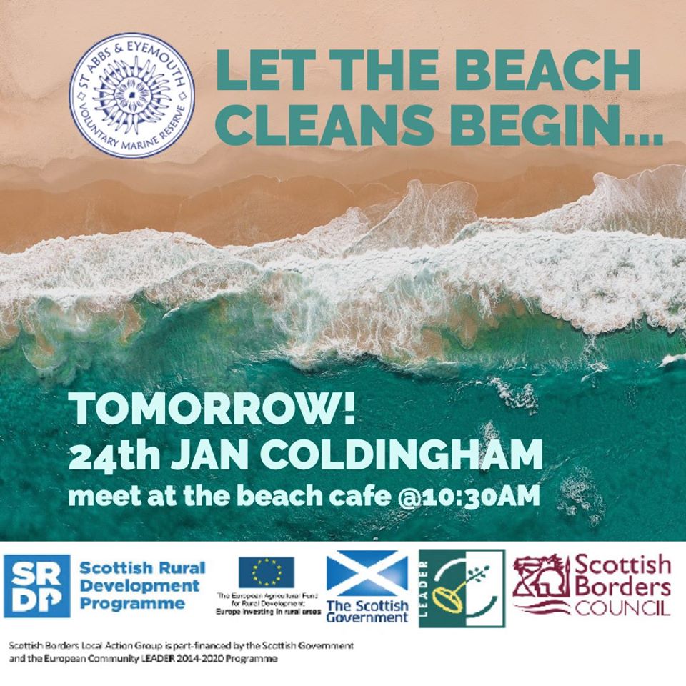 Let the beach clean begin...